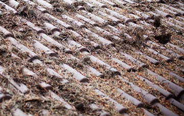 Rydens roof cleaning companies